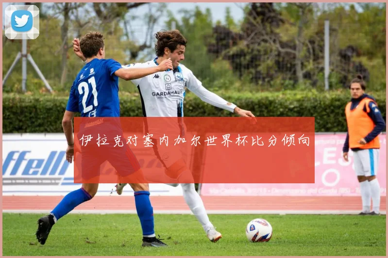 伊拉克对塞内加尔世界杯比分倾向