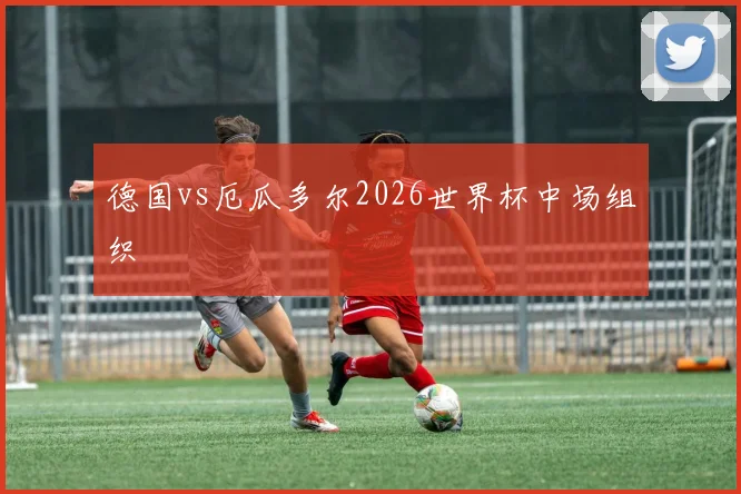 德国vs厄瓜多尔2026世界杯中场组织