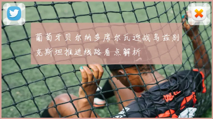 葡萄牙贝尔纳多席尔瓦迎战乌兹别克斯坦推进线路看点解析