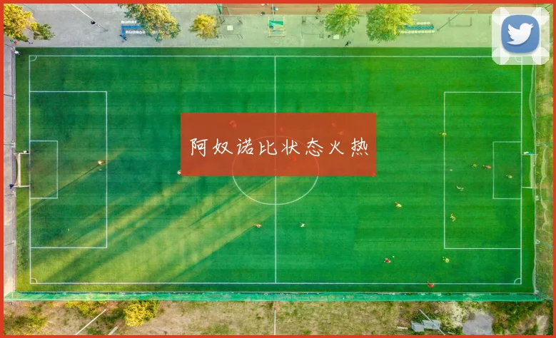 阿奴诺比状态火热