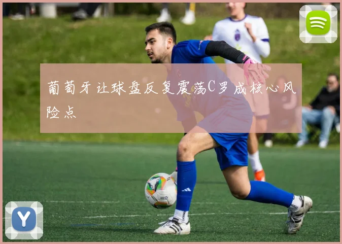 葡萄牙让球盘反复震荡C罗成核心风险点