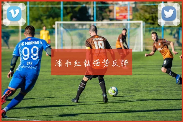 浦和红钻强势反弹