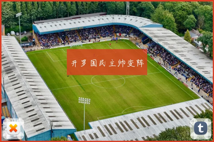 开罗国民主帅变阵