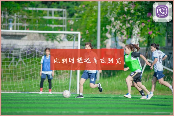 比利时强碰乌兹别克