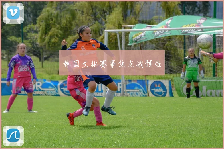 韩国女排赛事焦点战预告
