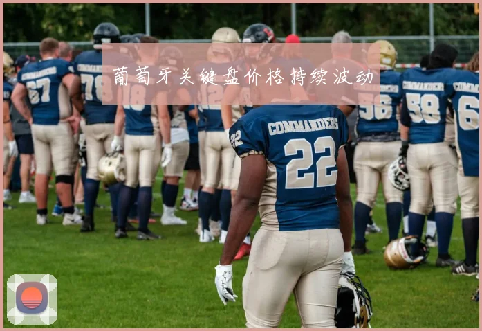 葡萄牙关键盘价格持续波动