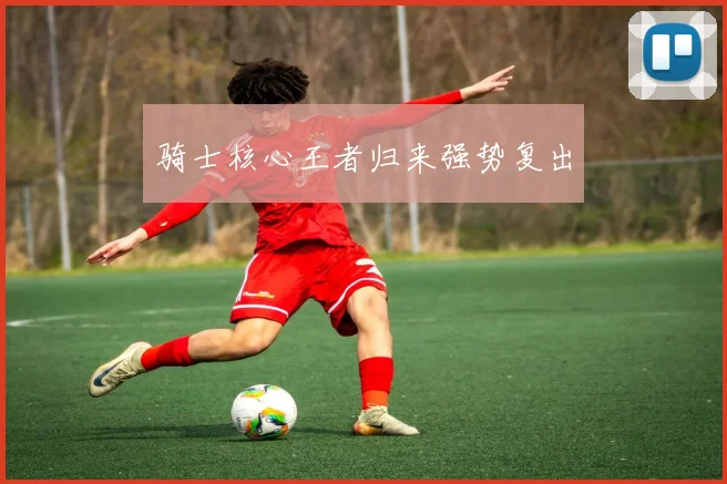 骑士核心王者归来强势复出