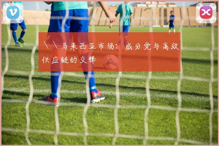 ＼＼马来西亚市场：成分党与高效供应链的交锋