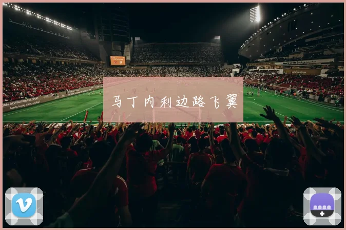 马丁内利边路飞翼