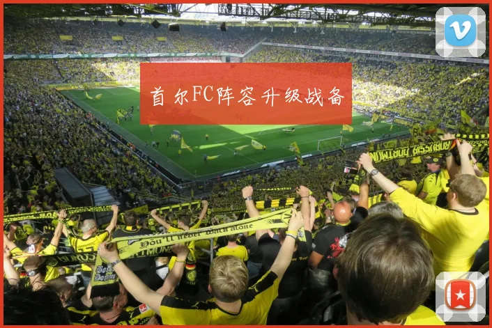 首尔FC阵容升级战备