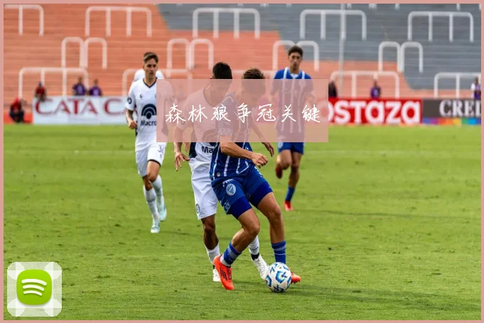 森林狼争冠关键