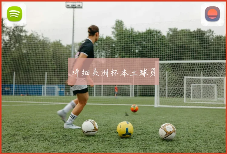 详细美洲杯本土球员